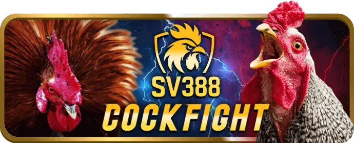Hoàn trả hàng ngày Fun88SC